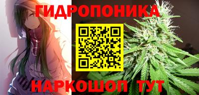 индика Малоярославец