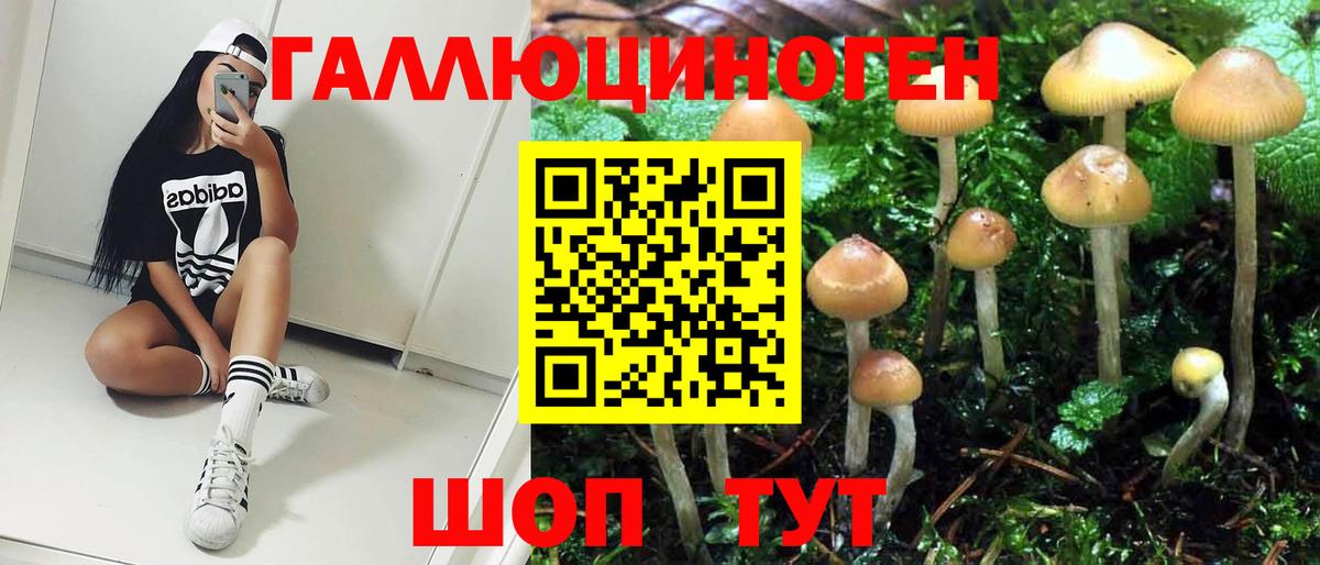 Галлюциногенные грибы мицелий  Вход с VPN  Таганрог 